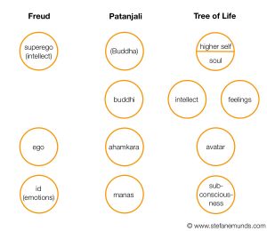 Psychology Models Comparison